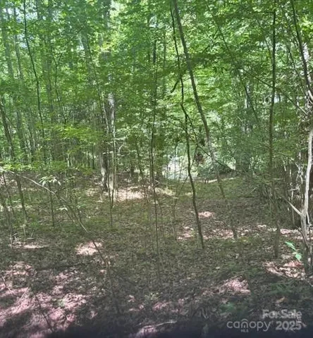 $65,000 | 0 Macs Mountain Retreat Lane, Franklin, NC 28734