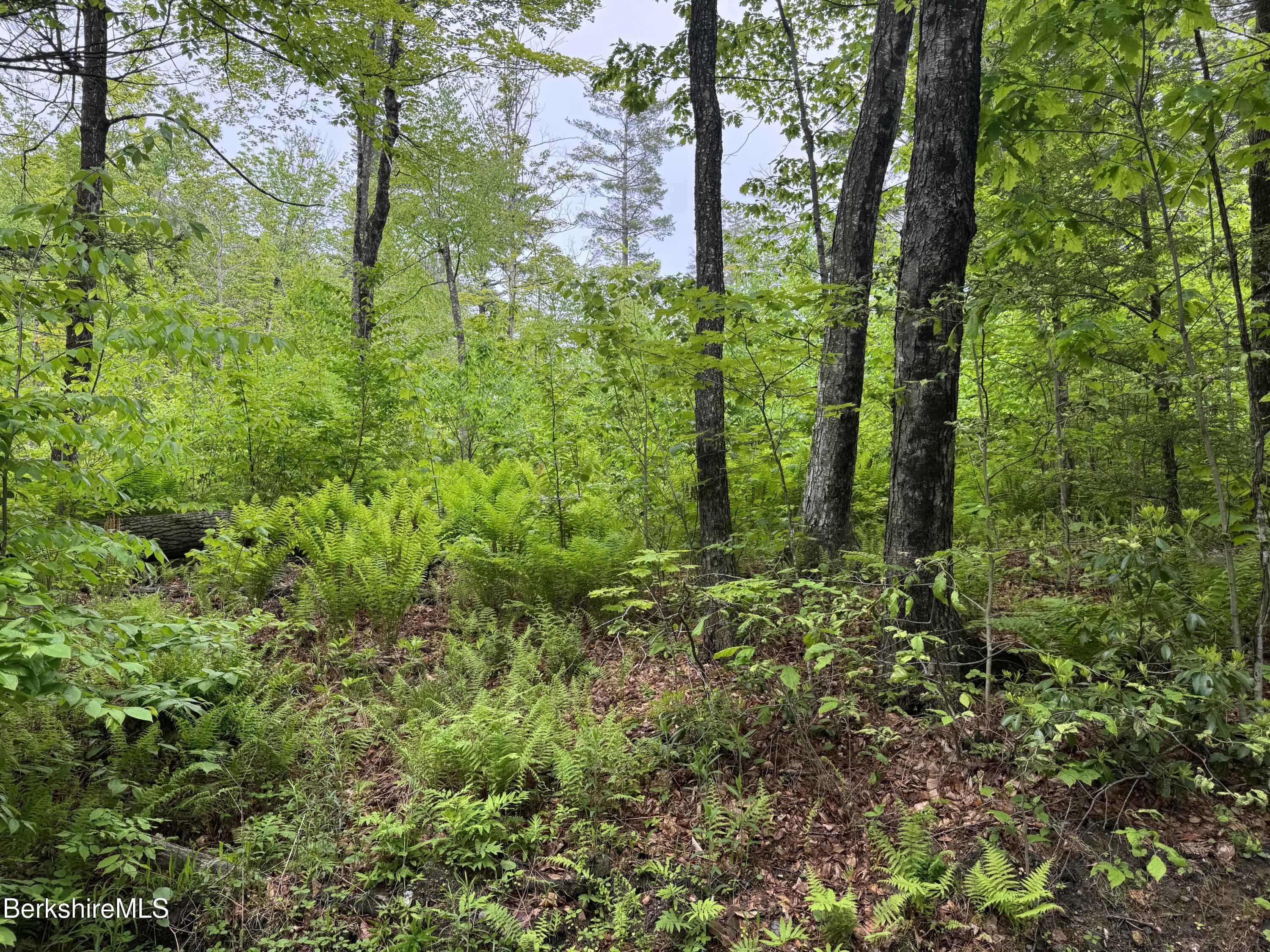 Lot ''b'' Beulah Land Road Blandford, MA 01008 - Photo 6 of 18 IMG_4578