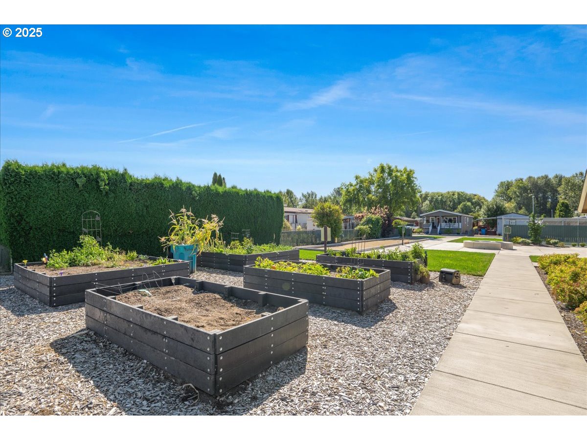 300 Southwest 7th Avenue, Unit 302 Battle Ground, WA 98604 - Photo 41 of 41 a view of a swimming pool with a patio