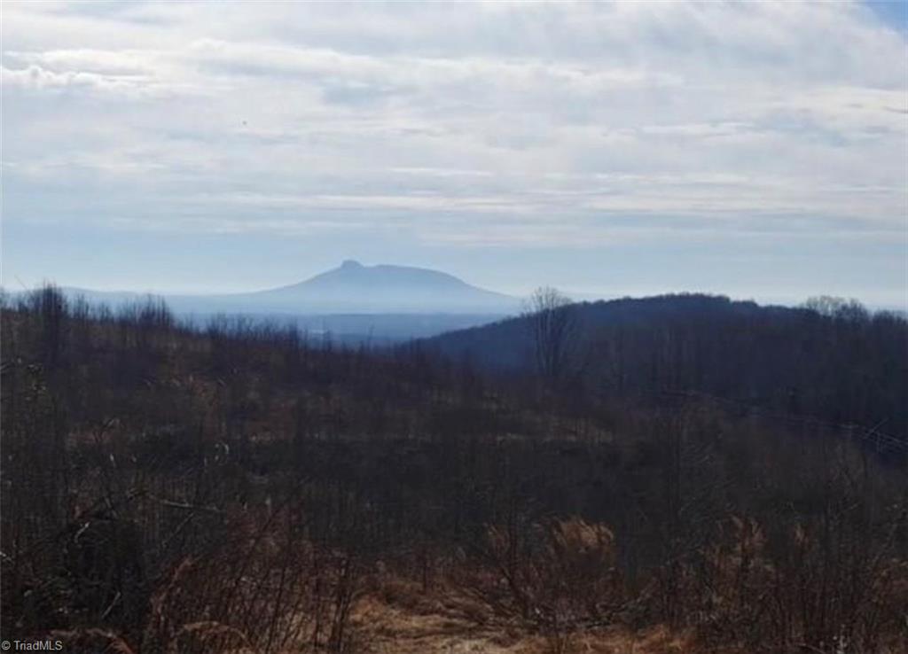 0 Cook School Road Pilot Mountain, NC 27041 - Photo 1 of 2 Gallery Image 1