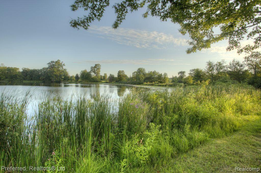 2951 Argentine Road Howell, MI 48855 - Photo 1 of 25 tall grass