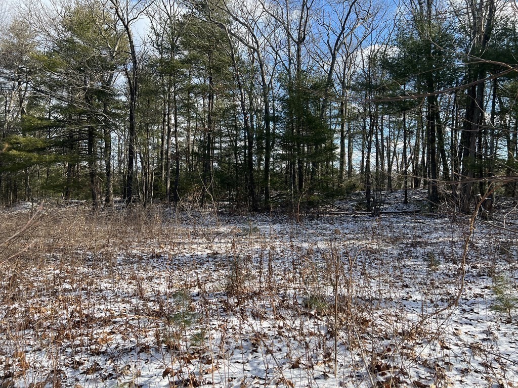 17 Shepard Road Sturbridge, MA 01566 - Photo 6 of 9 Gallery Image 6