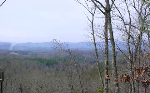 32 Fox Run Mountain Blue Ridge, GA 30513 - Photo 1 of 1 Main View