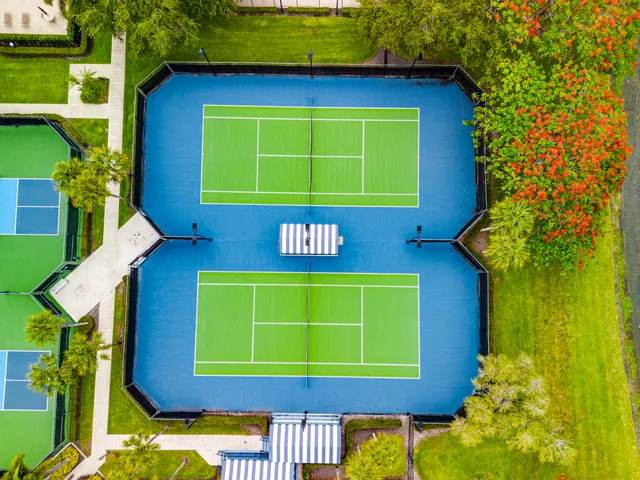 a view of a backyard with plants