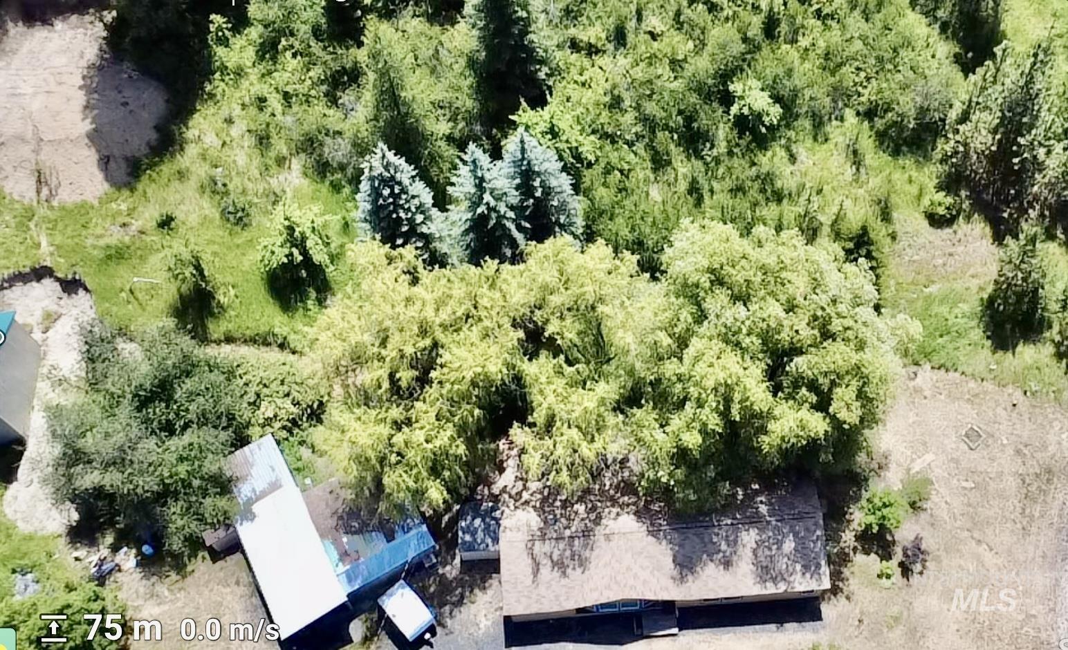 1089 Wallen Road Moscow, ID 83843 - Photo 43 of 43 Drone / aerial view