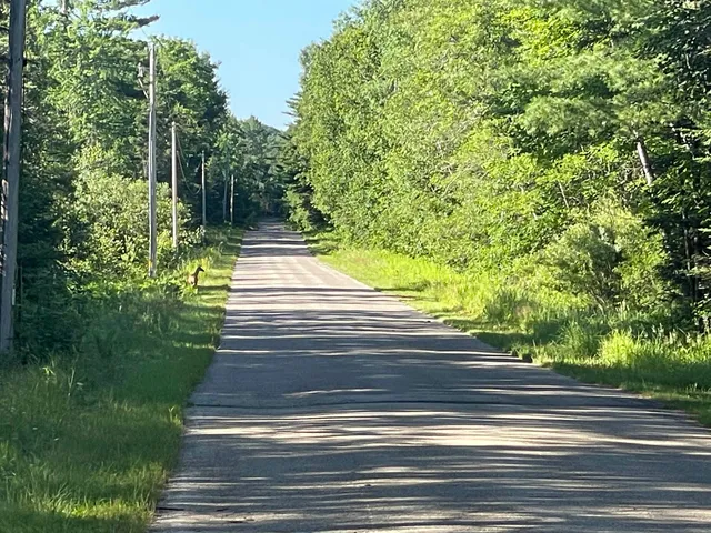 $110,000 | N18799 Old County A Road, Dunbar, WI 54119