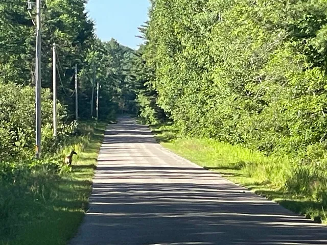 $110,000 | N18799 Old County A Road, Dunbar, WI 54119