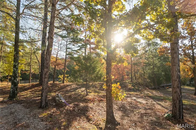 $325,000 | 4907 State Hwy TT, Zalma, MO 63787