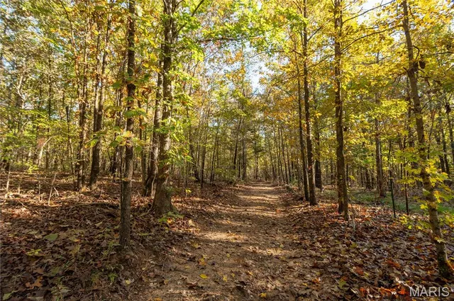 $325,000 | 4907 State Hwy TT, Zalma, MO 63787