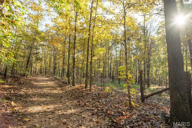 $325,000 | 4907 State Hwy TT, Zalma, MO 63787