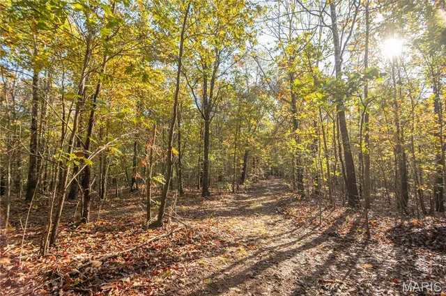 $325,000 | 4907 State Hwy TT, Zalma, MO 63787