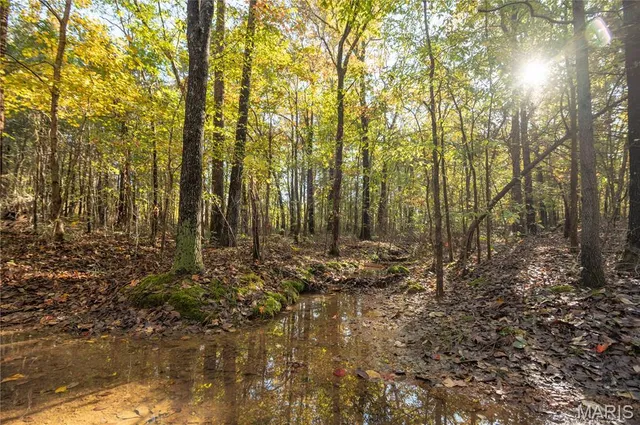 $325,000 | 4907 State Hwy TT, Zalma, MO 63787