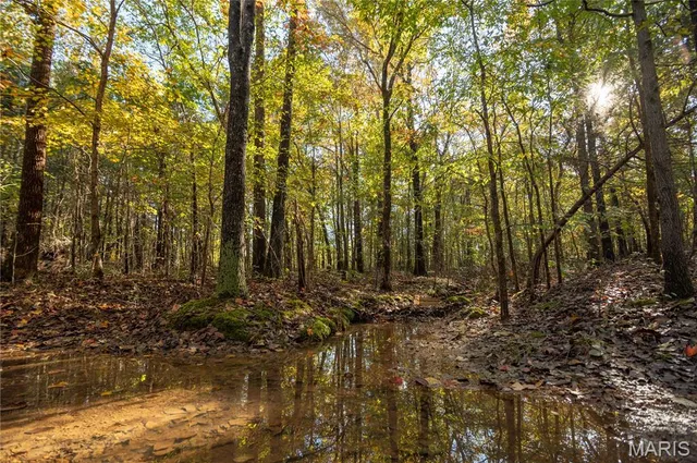 $325,000 | 4907 State Hwy TT, Zalma, MO 63787