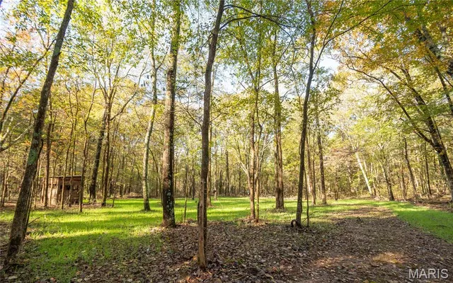 $325,000 | 4907 State Hwy TT, Zalma, MO 63787