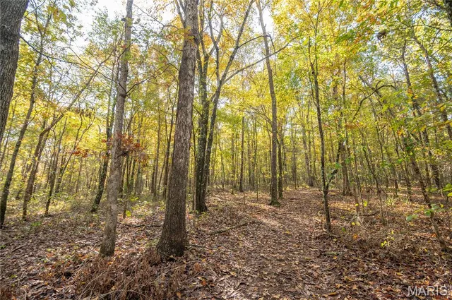 $325,000 | 4907 State Hwy TT, Zalma, MO 63787