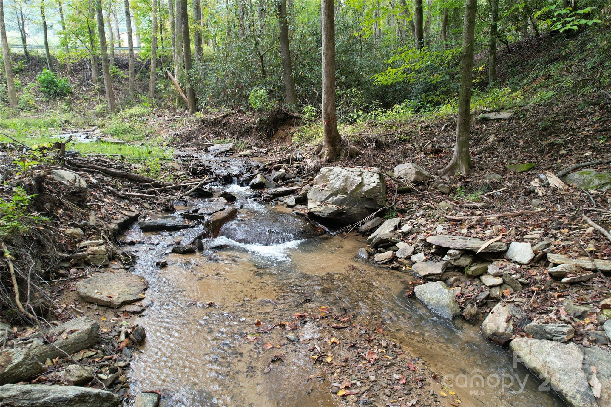 0 Mt Hebron Road Black Mountain, NC 28711 - Photo 11 of 16 a view of a forest with trees