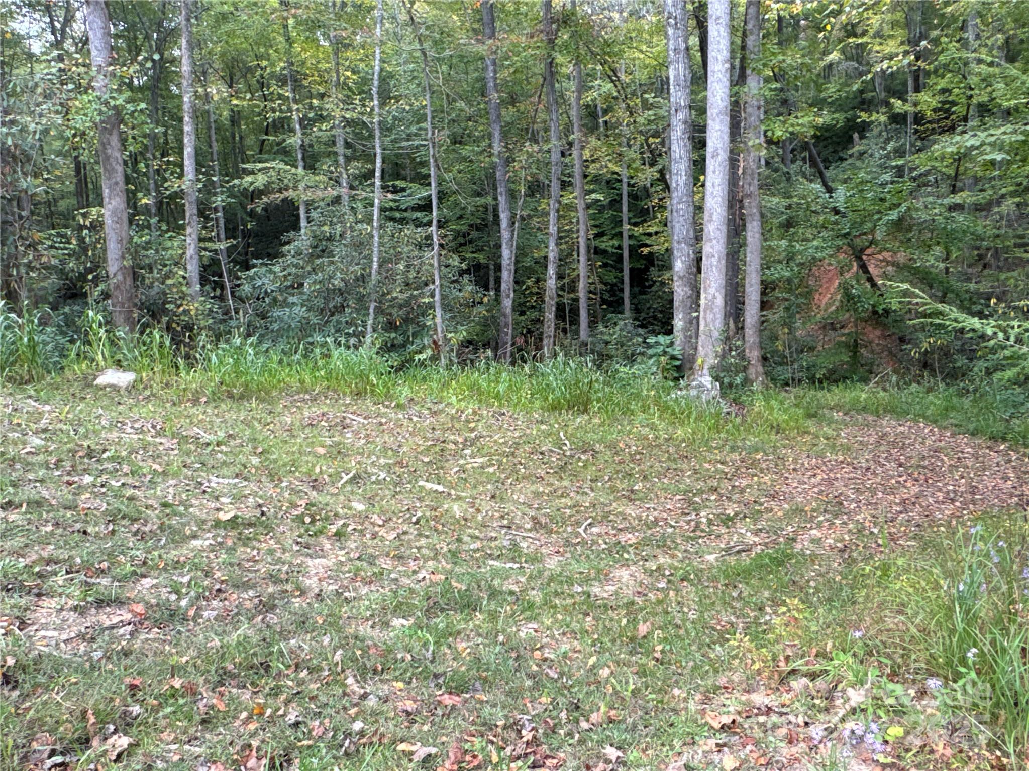 0 Mt Hebron Road Black Mountain, NC 28711 - Photo 15 of 16 a view of forest