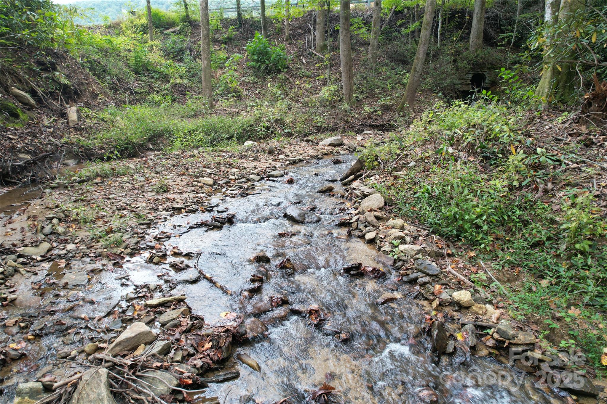 0 Mt Hebron Road Black Mountain, NC 28711 - Photo 4 of 16 a view of a yard with a tree
