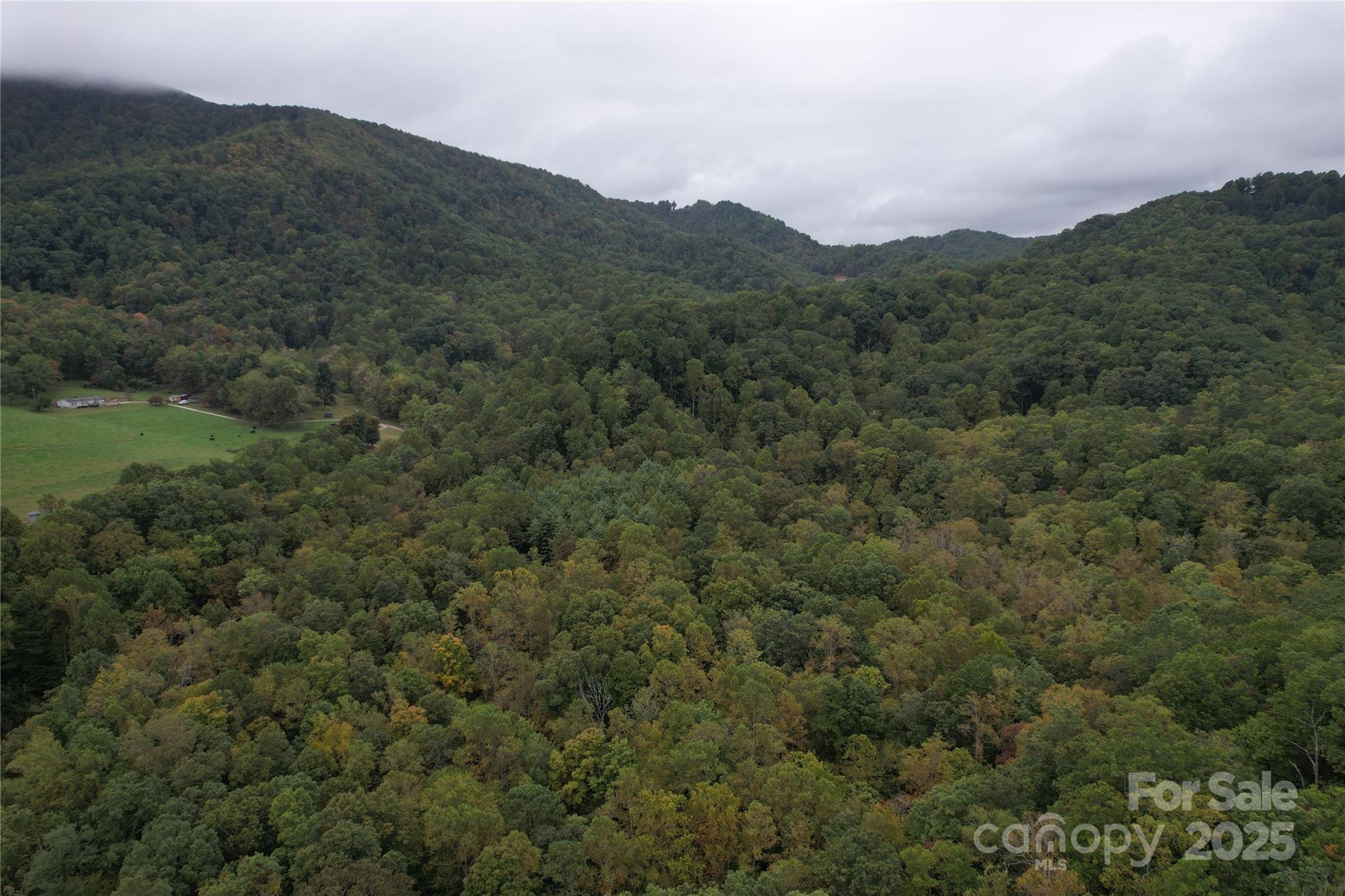 0 Mt Hebron Road Black Mountain, NC 28711 - Photo 5 of 16 a view of a mountain in the distance in a field