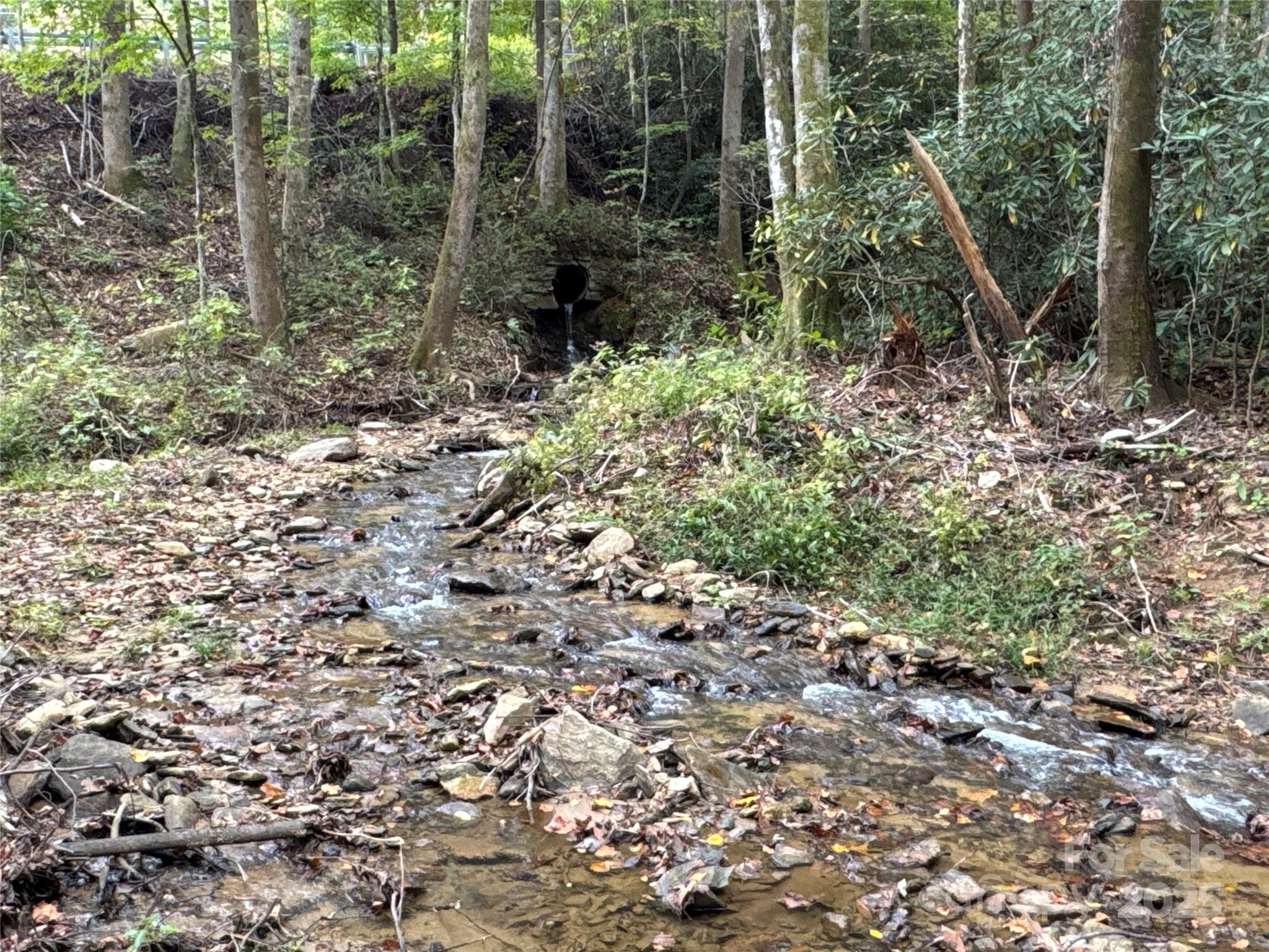 0 Mt Hebron Road Black Mountain, NC 28711 - Photo 7 of 16 a view of a forest with trees