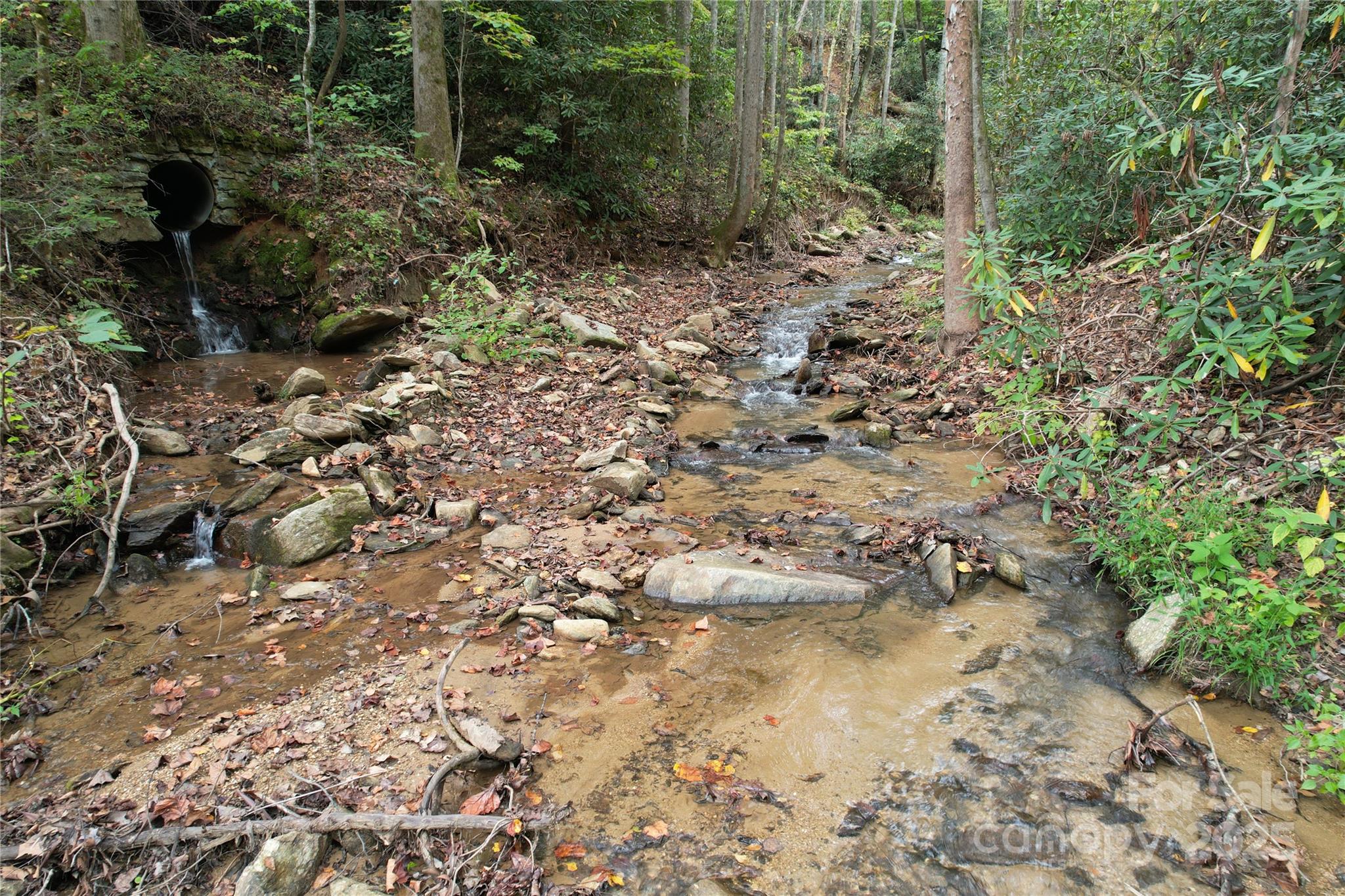 0 Mt Hebron Road Black Mountain, NC 28711 - Photo 9 of 16 a view of a yard with plants and large trees