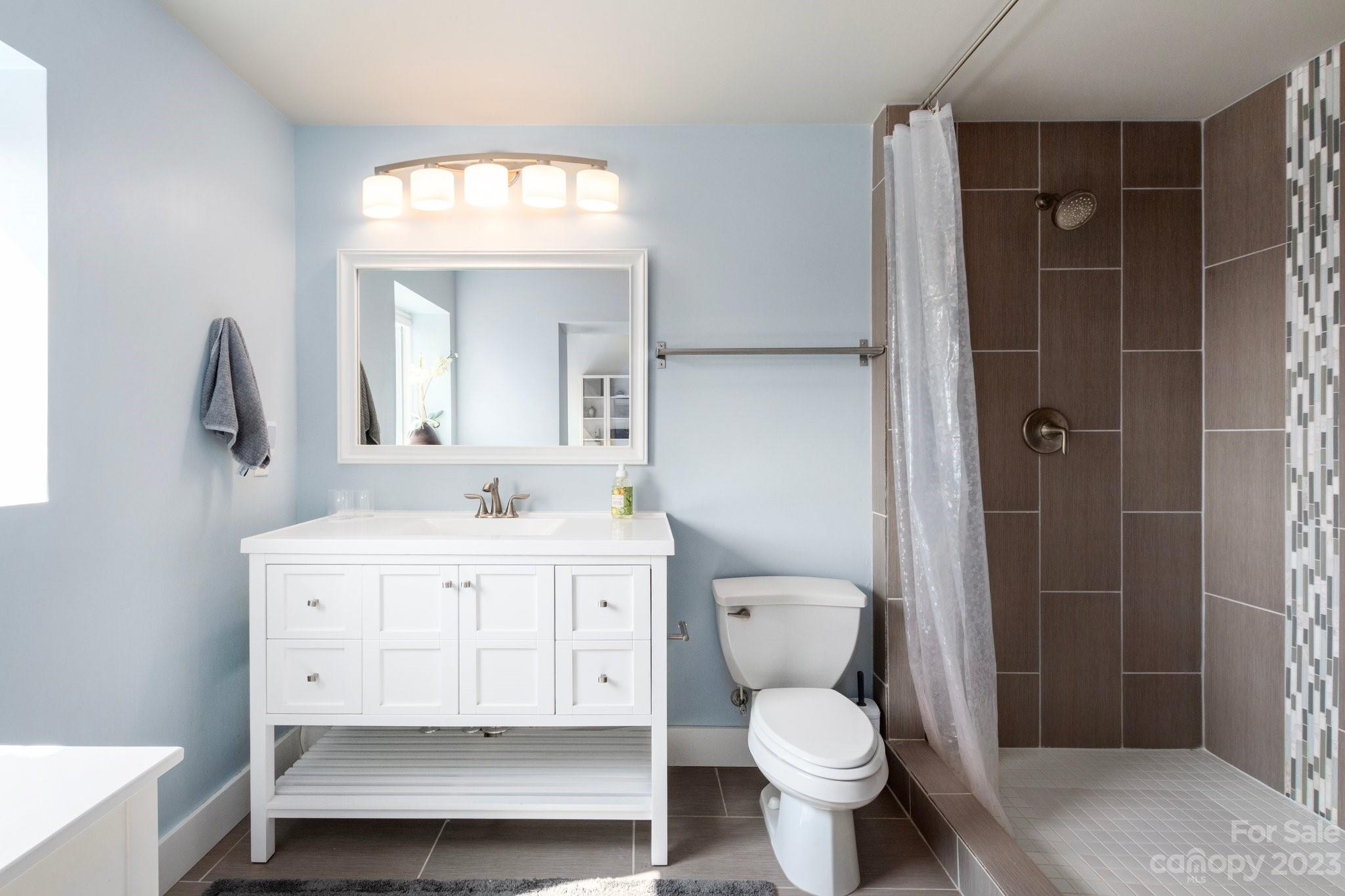 43 Kirkman Road Asheville, NC 28805 - Photo 20 of 27 a bathroom with a toilet sink and a mirror