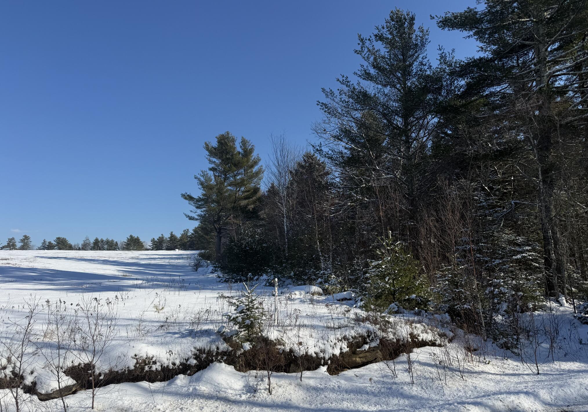 Mr2-l123b Pout Town Road Stockton Springs, ME 04981 - Photo 4 of 4 Winter