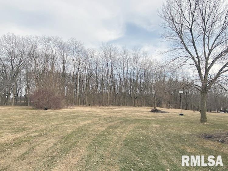 25965 North Boat Dock Road Canton, IL 61520 - Photo 29 of 31