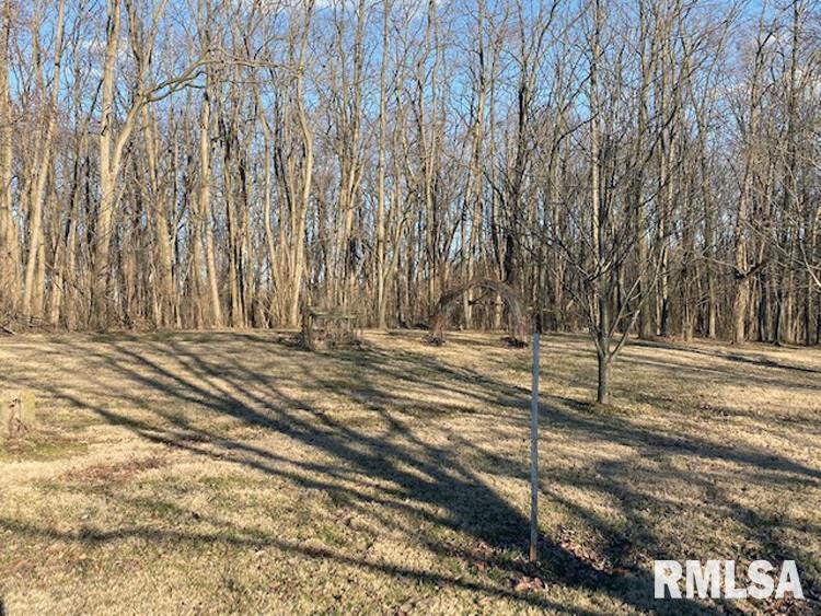 25965 North Boat Dock Road Canton, IL 61520 - Photo 30 of 31