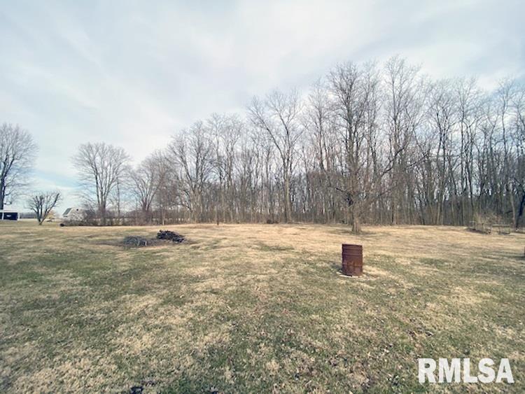 25965 North Boat Dock Road Canton, IL 61520 - Photo 31 of 31