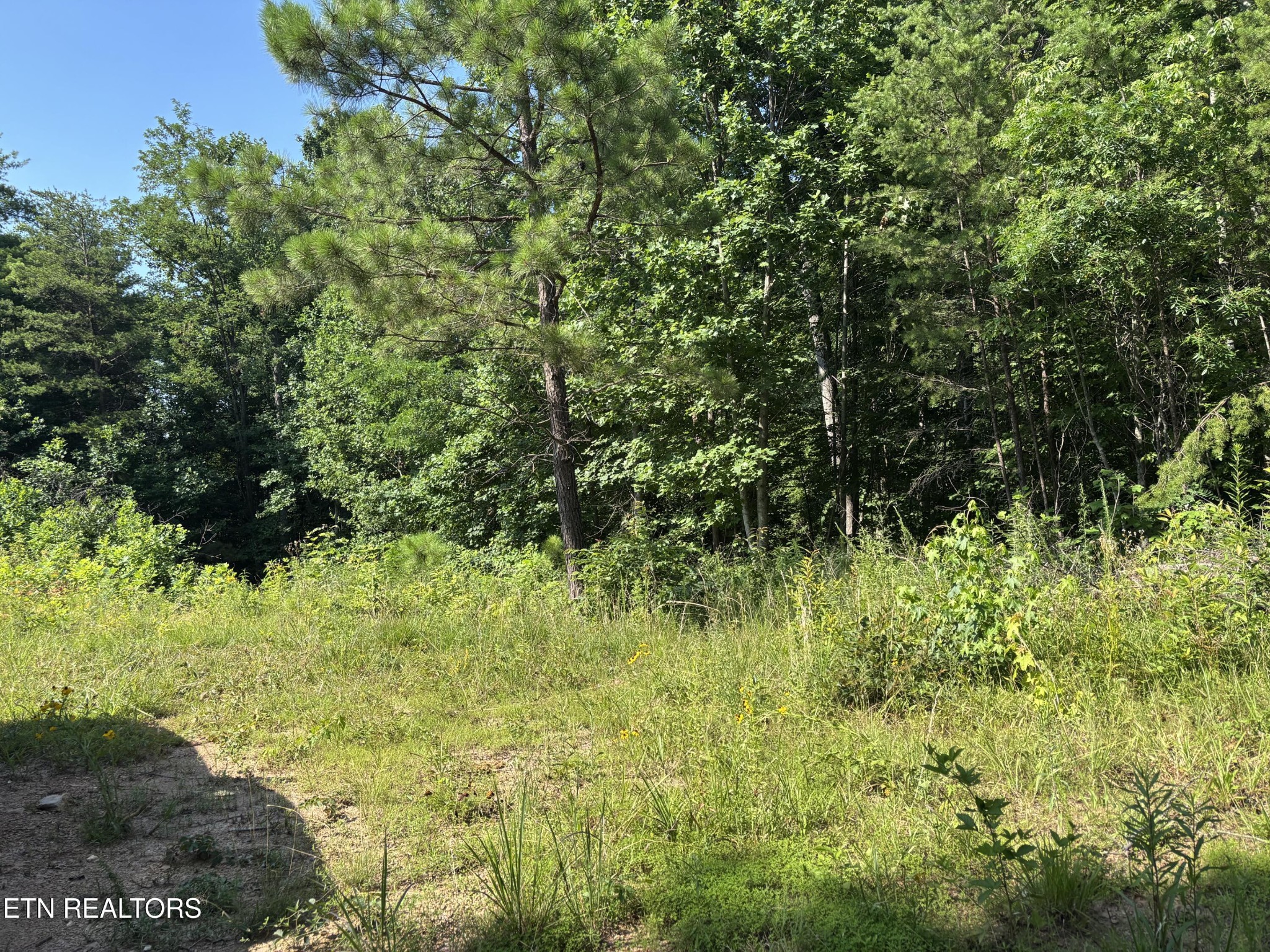 803 Chestnut Mountain Road Reliance, TN 37369 - Photo 2 of 3