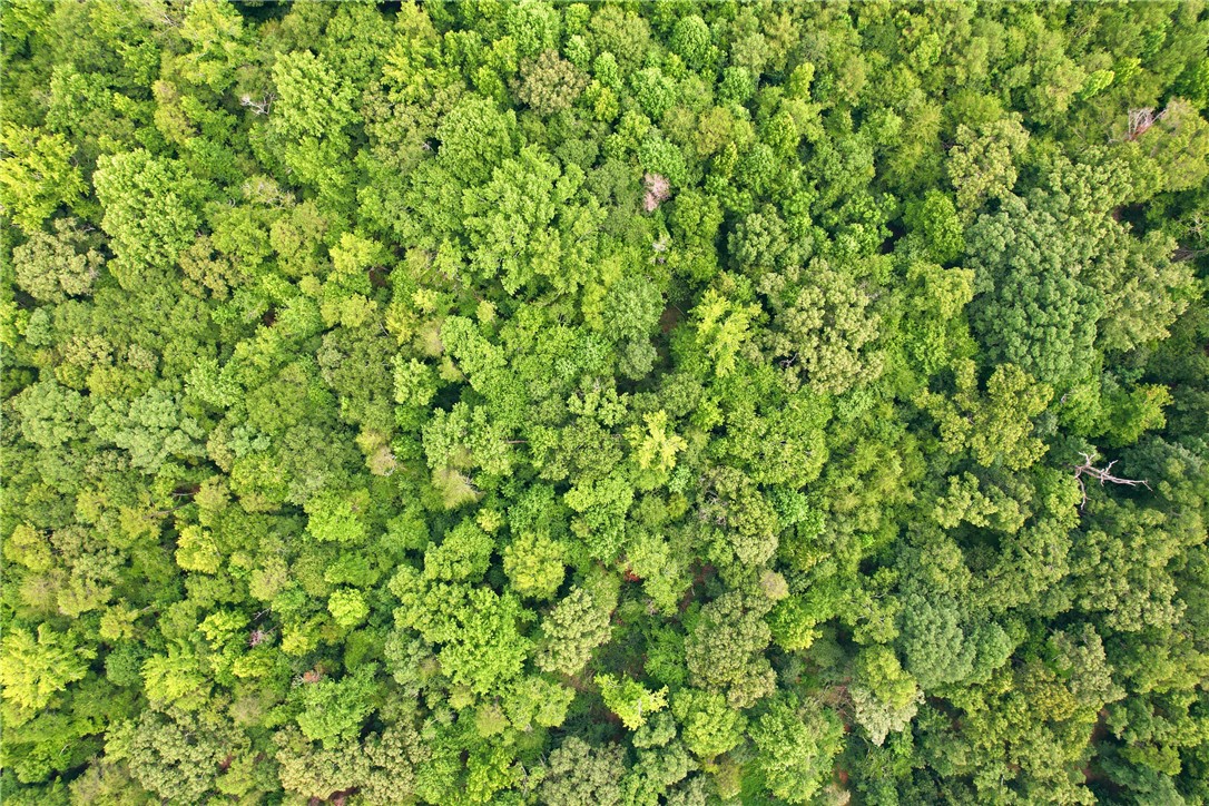 0 Southern Acres Road Anderson, SC 29625 - Photo 9 of 27 An aerial perspective reveals a vast, verdant expanse of mature trees, offering ultimate seclusion.