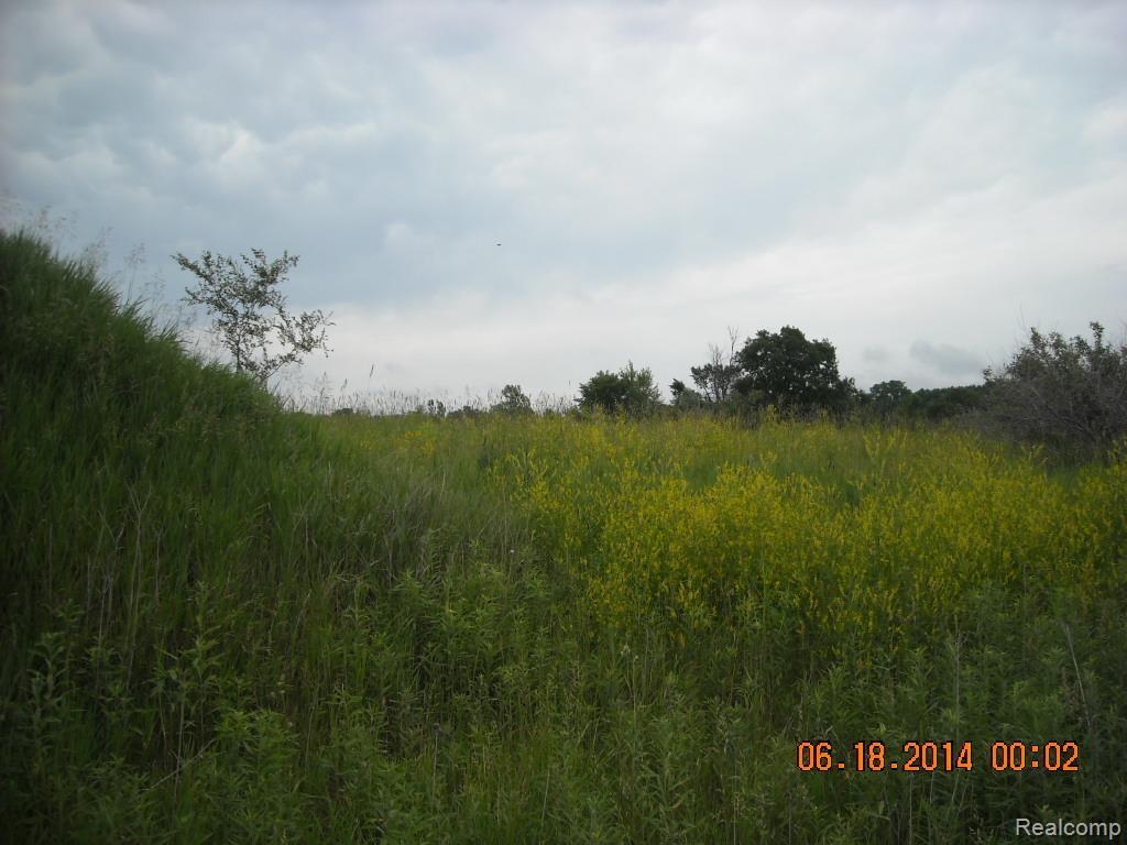 3558 Lake George Road Leonard, MI 48367 - Photo 1 of 8 DSCN0001.jpg