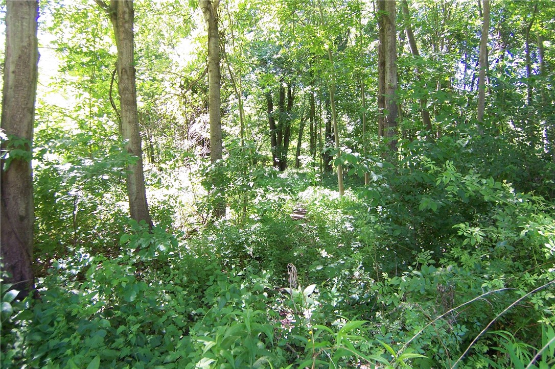 2579 Daansen Road Palmyra, NY 14522 - Photo 19 of 19