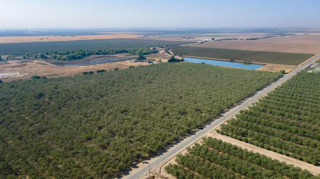 a view of a field with an ocean view