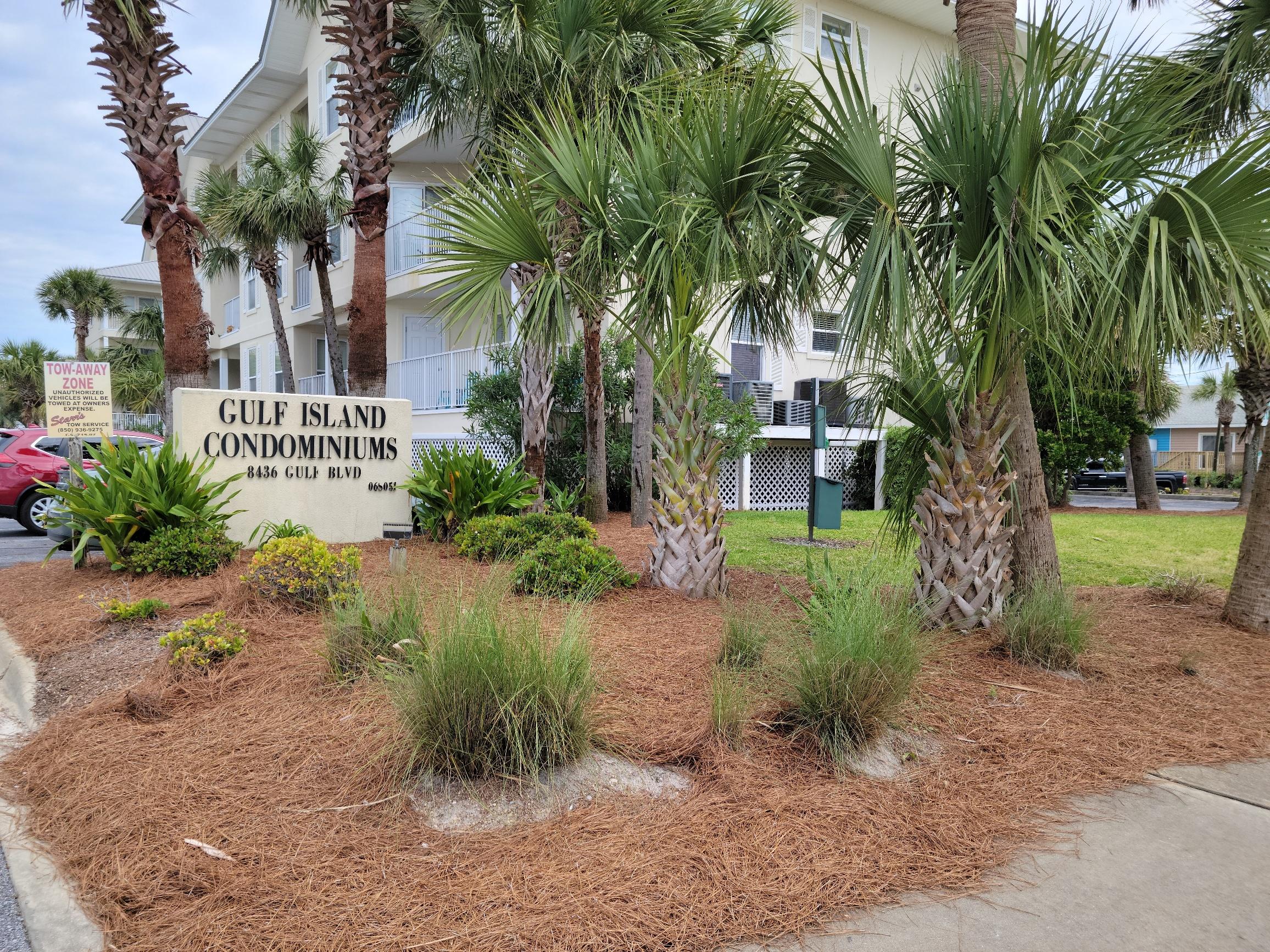 a garden with palm trees