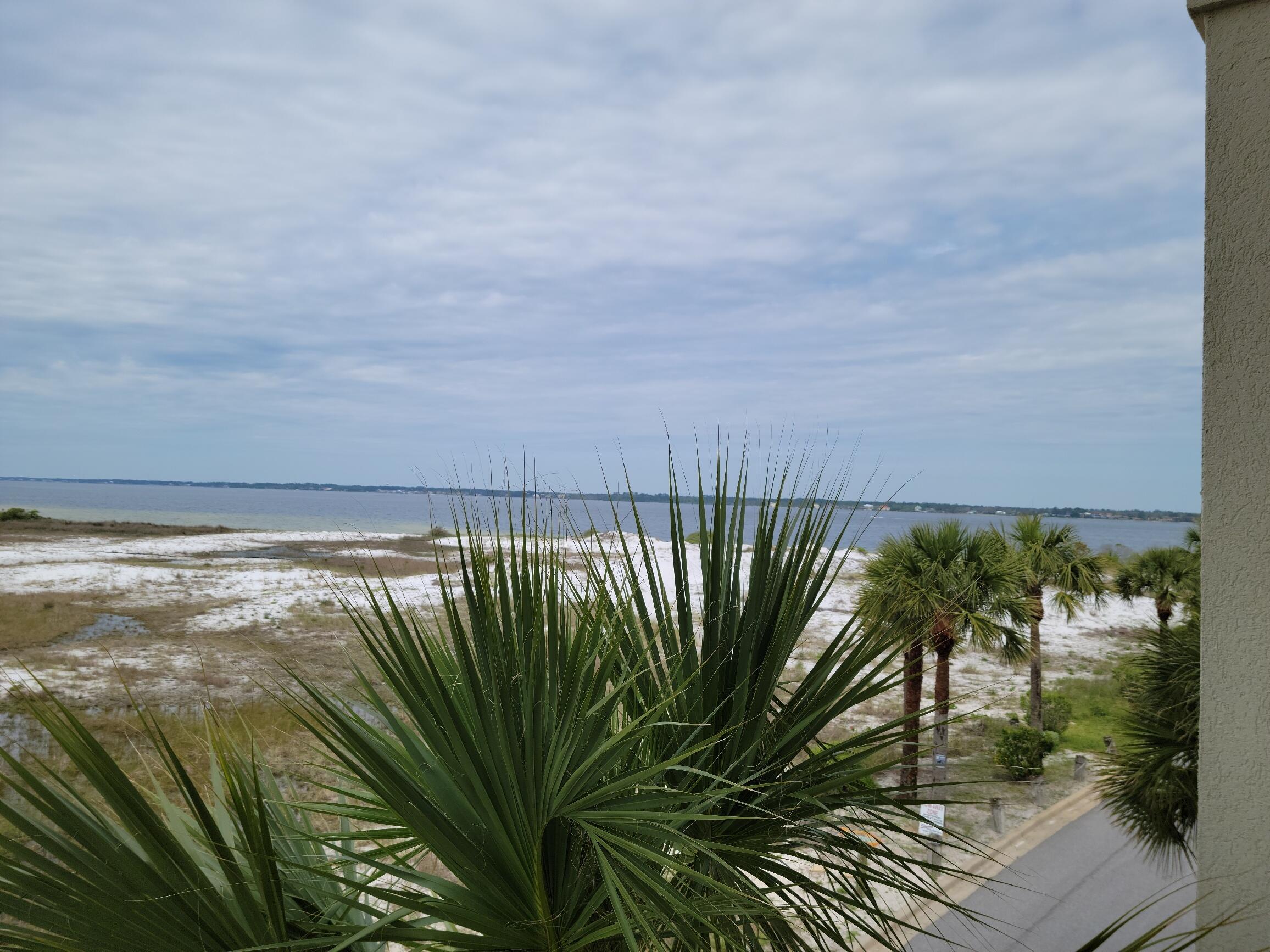 8436 Gulf Boulevard, Unit 423 Navarre, FL 32566 - Photo 7 of 7 a view of a plant in front of a building
