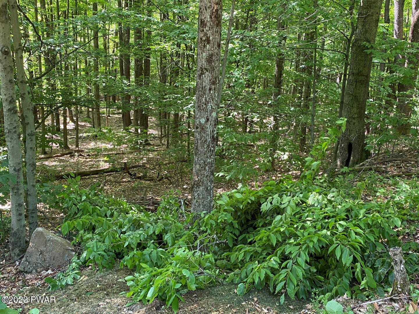 Timbertop Acres Newfoundland, PA 18445 - Photo 6 of 23