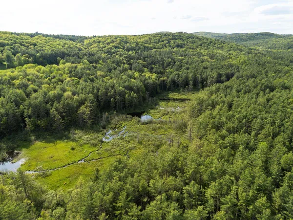 $895,000 | 0 Newton Lane, White River Junction, VT 05001