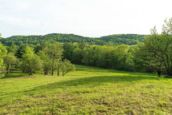 $895,000 | 0 Newton Lane, White River Junction, VT 05001
