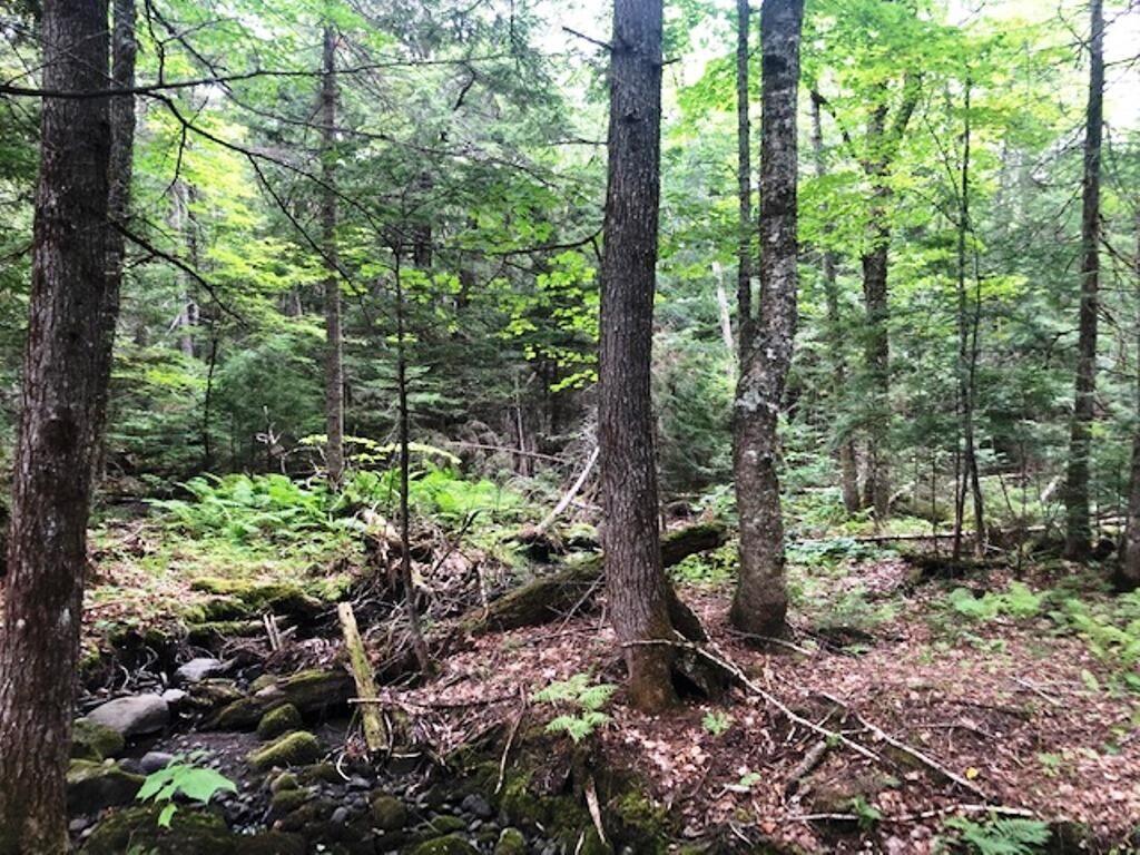 Lot 6 Hammond Brook Road Monson, ME 04464 - Photo 6 of 9 3