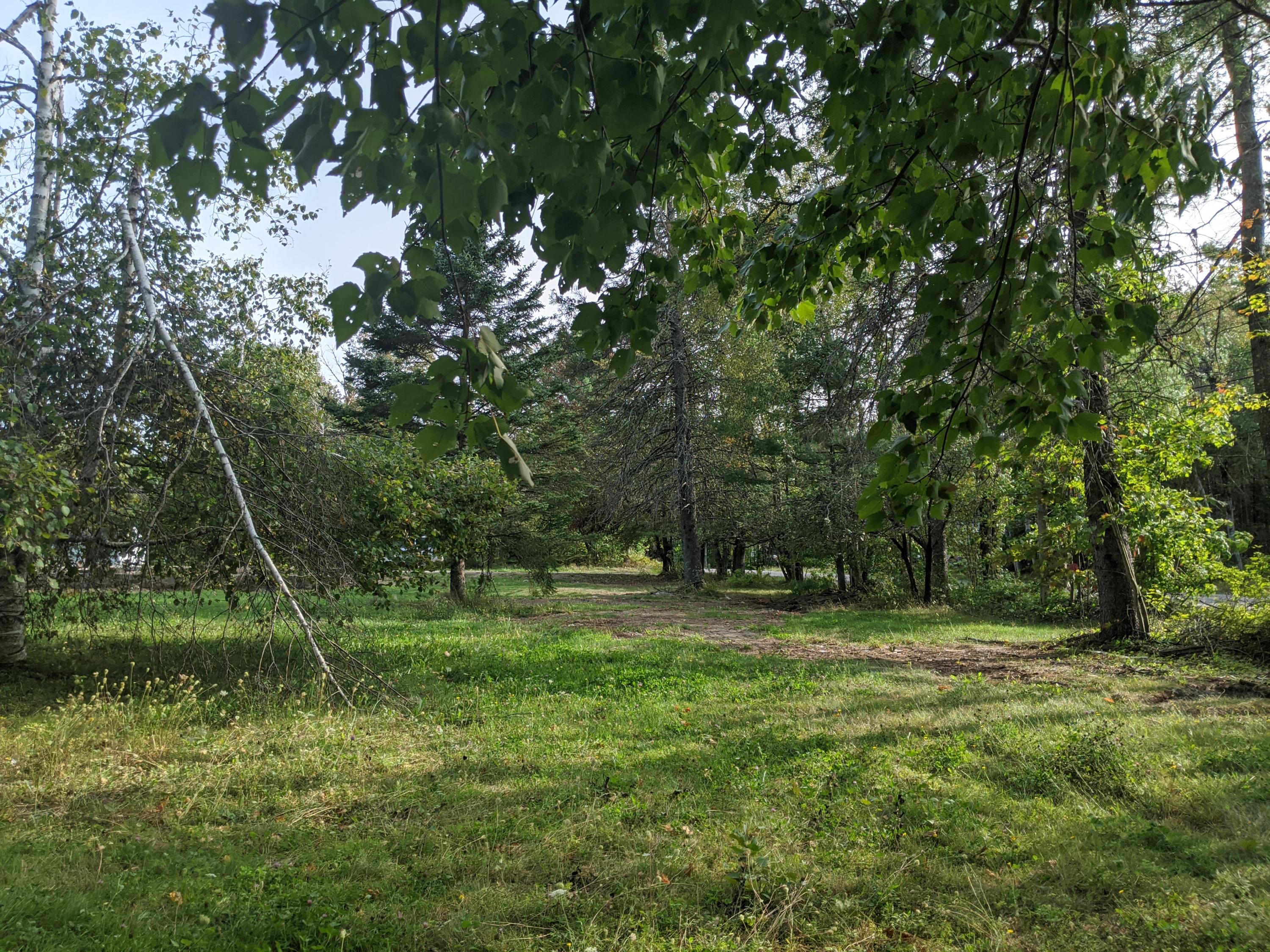 1922 Dexter Road Dover-Foxcroft, ME 04426 - Photo 13 of 17 IMG_20200914_155810