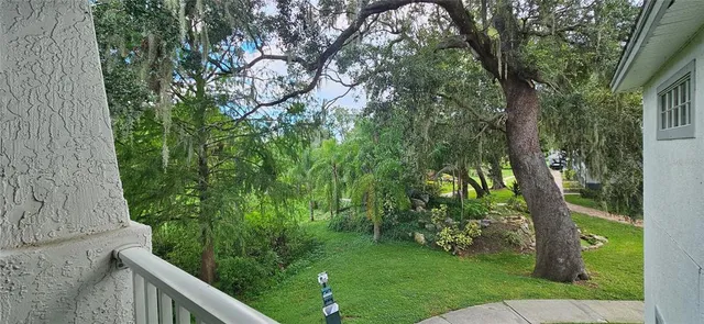 a view of a yard with plants and a large tree