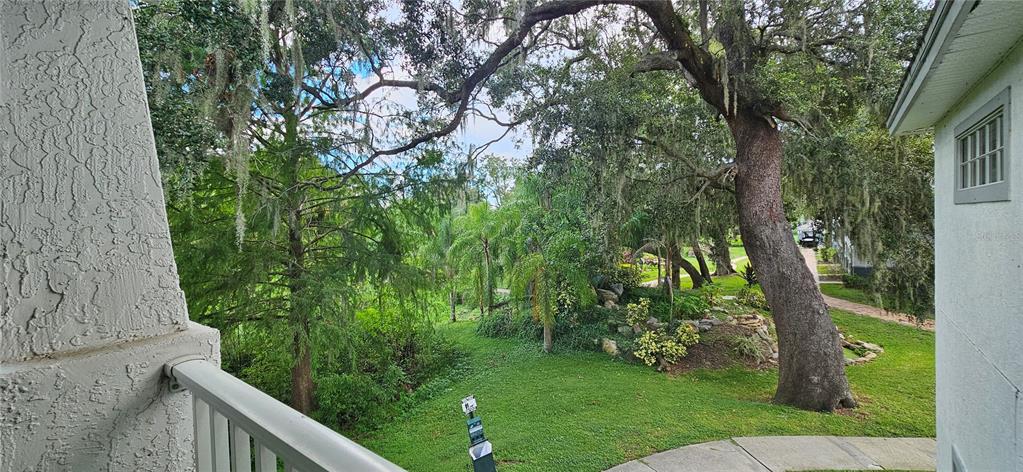 4340 South Kirkman Road, Unit 912 Orlando, FL 32811 - Photo 14 of 21 a view of a yard with plants and a large tree