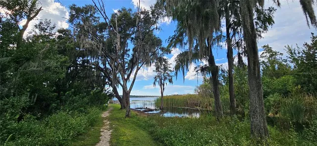 a view of backyard with green space