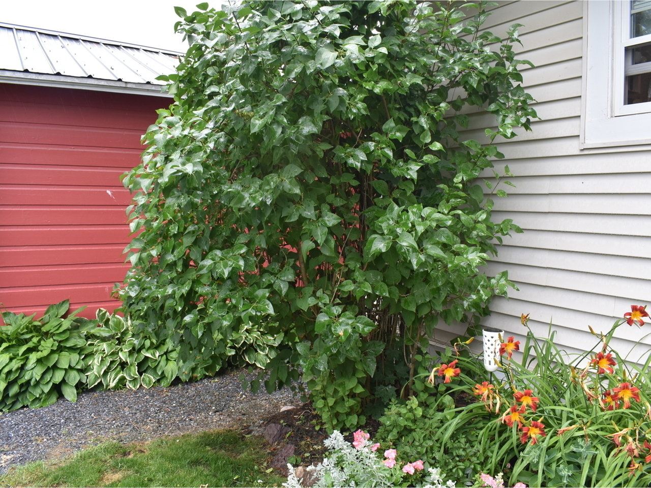 2812 Mt Philo Road Charlotte, VT 05445 - Photo 4 of 40 Gallery Image 4