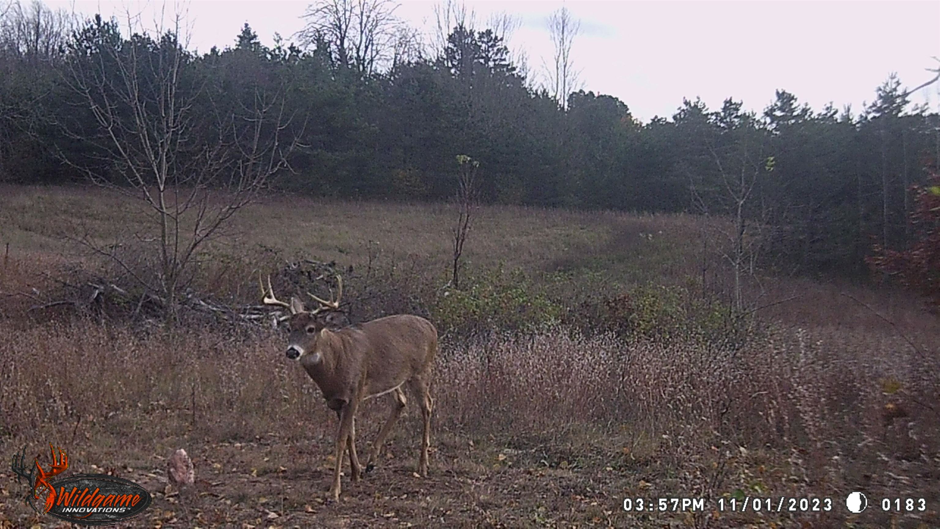 18 East 1/2 Road Manton, MI 49663 - Photo 14 of 16