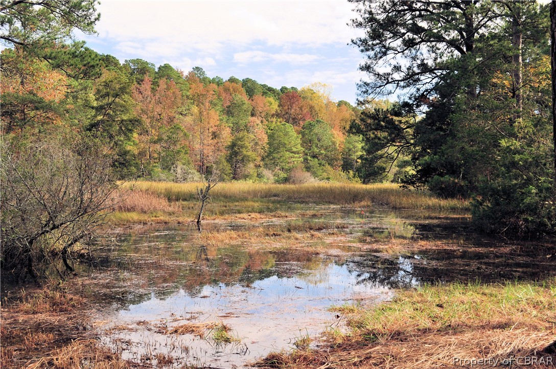 Lot 35 Chapel Neck Road North, VA 23128 - Photo 1 of 9 Gallery Image 1