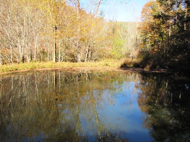 329 Trout Run Road Waiteville, WV 24984 - Photo 42 of 91 Gallery Image 42