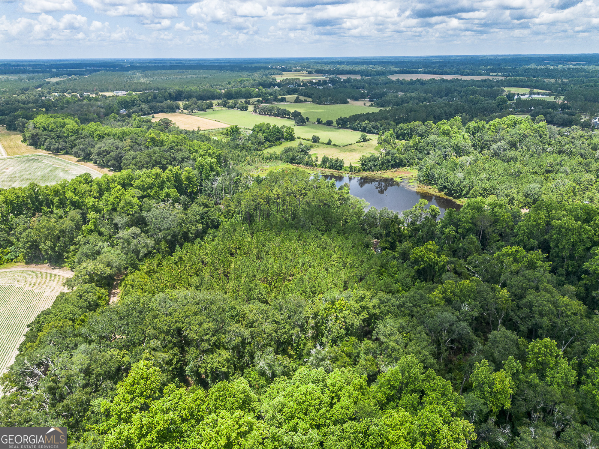 0 Nesbitt Road Jesup, GA 31545 - Photo 11 of 35 Gallery Image 11